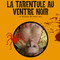 LA TARENTULE AU VENTRE NOIR